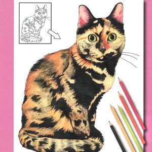Cat Coloring Book